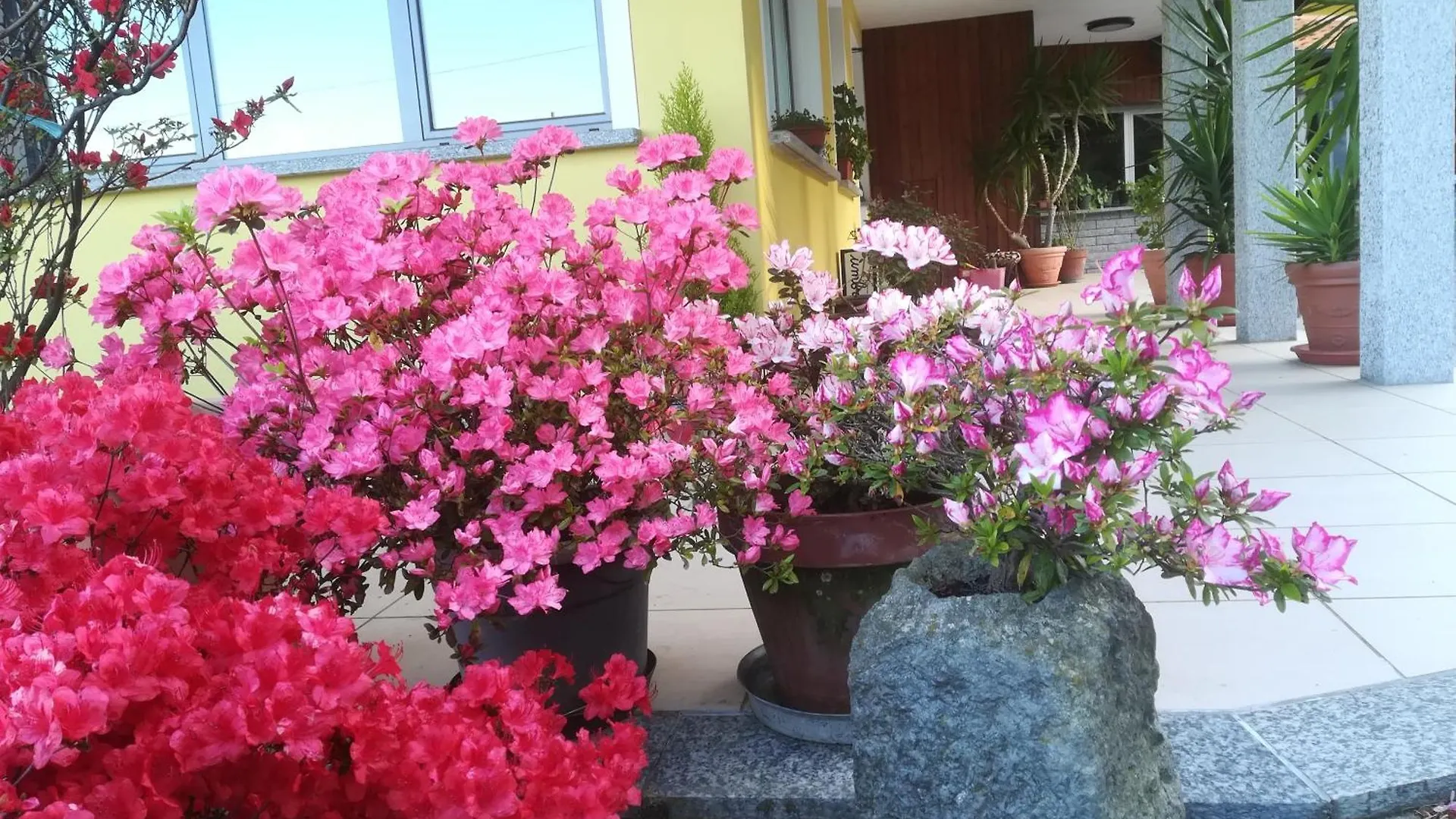 Hotel Bb Villa Orchidea Stresa 2*,  Italien