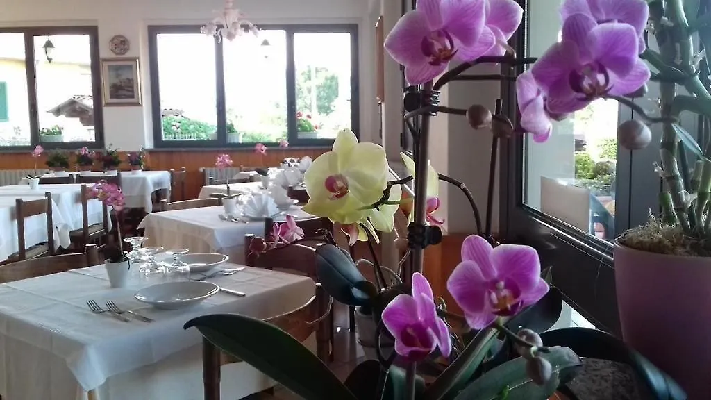 Frühstückspension Hotel Bb Villa Orchidea Stresa