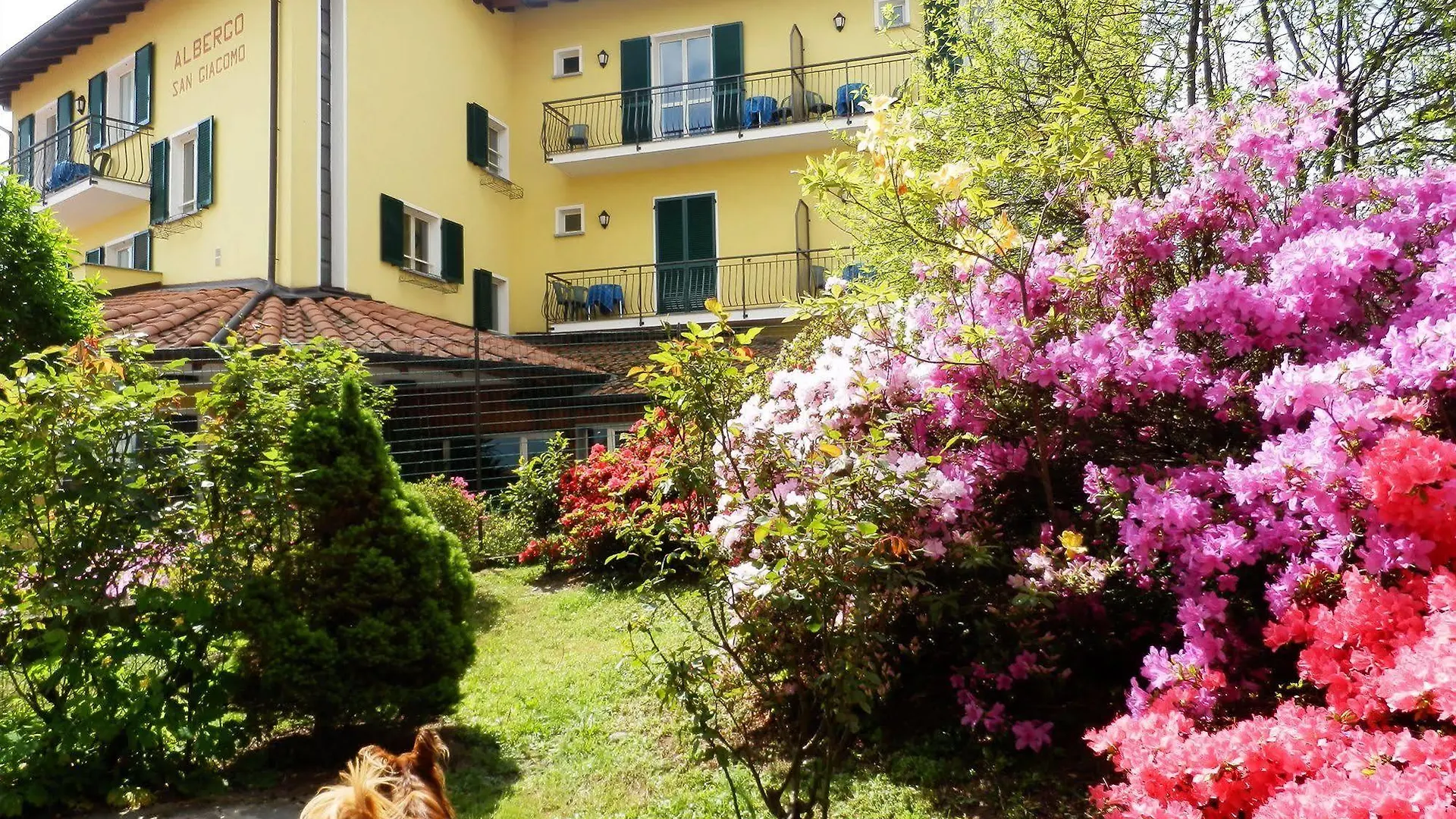 Hotel Bb Villa Orchidea Stresa Frühstückspension