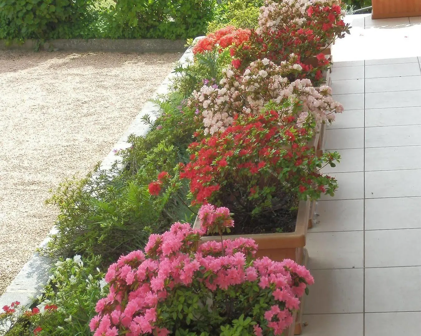 Bed & Breakfast Hotel Bb Villa Orchidea Stresa